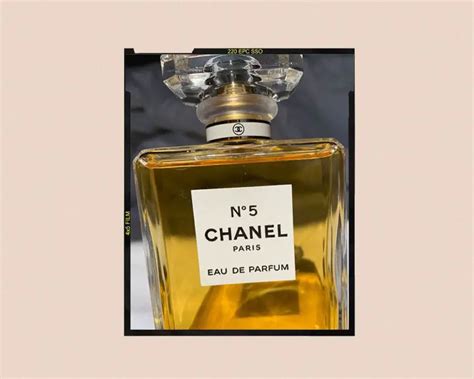 chanel no 9 notes|chanel no 5 smells like.